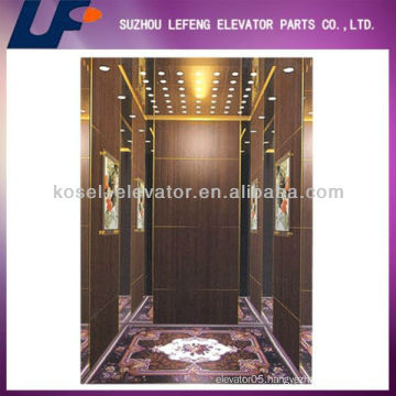 Building Commercial Passenger Elevator